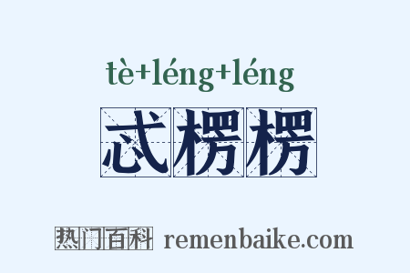 忒楞楞是什么意思的图片